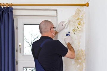 mold removal